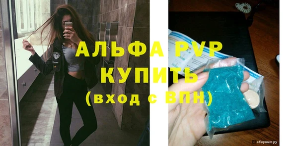 прущие крисы Киренск