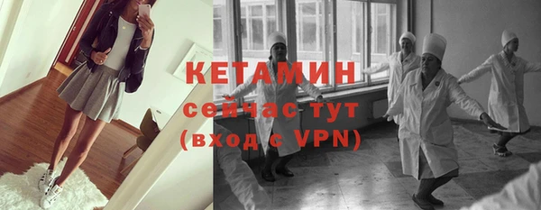 сатива Вязьма