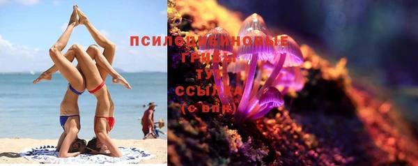 винт Козельск