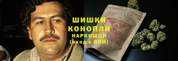 МДПВ Козловка
