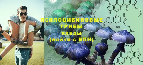 МДПВ Козловка